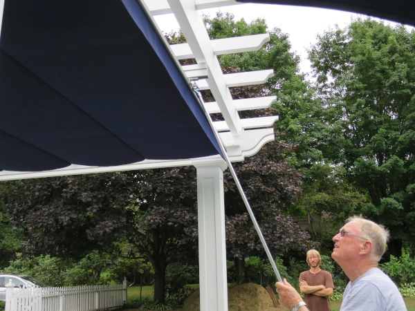 Freestanding pergola with training